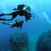 Cuban underwater photography training