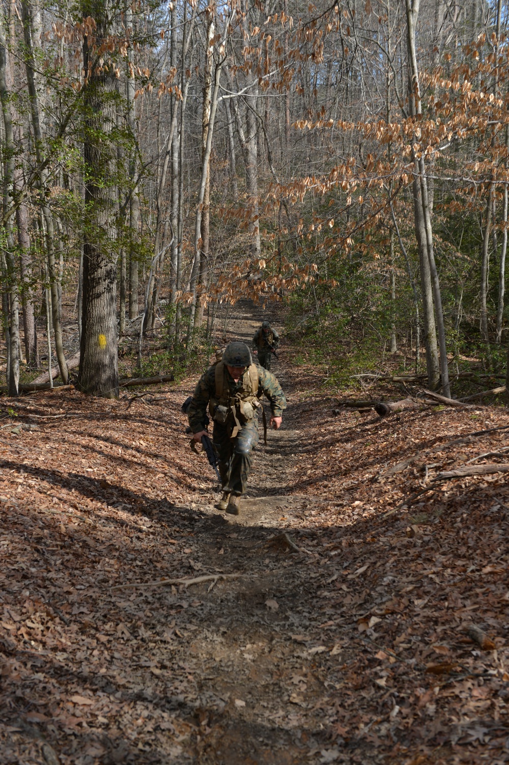 Endurance Course