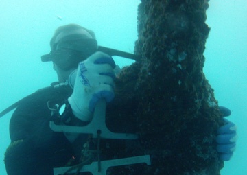 Fleet mooring inspection in Diego Garcia