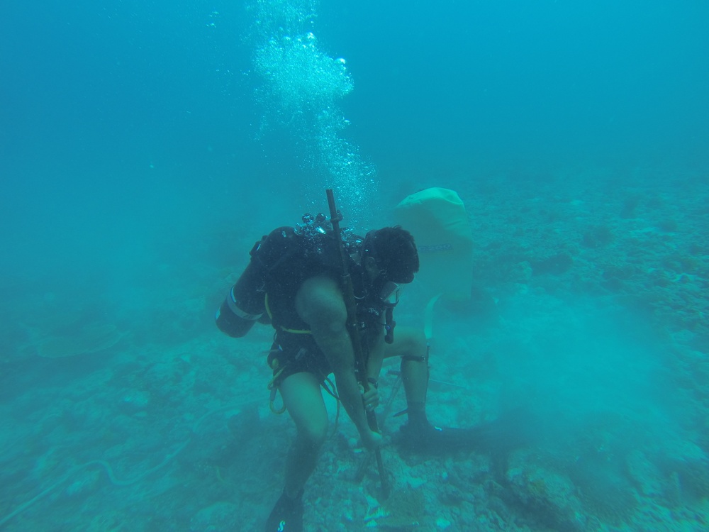 Rapid penetration testing in Diego Garcia
