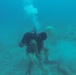 Rapid penetration testing in Diego Garcia