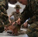 Photo Gallery: Rolling sleeves comes back to recruit training on Parris Island