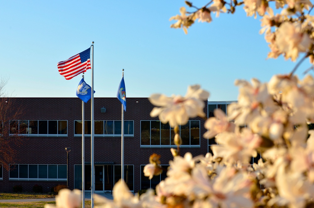 Flags through early blossoms