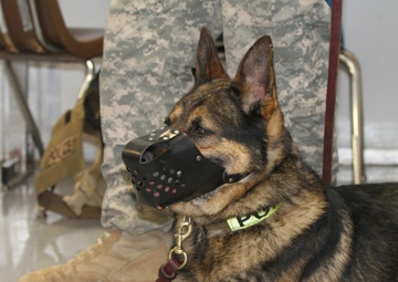 Military Working Dog team visits students