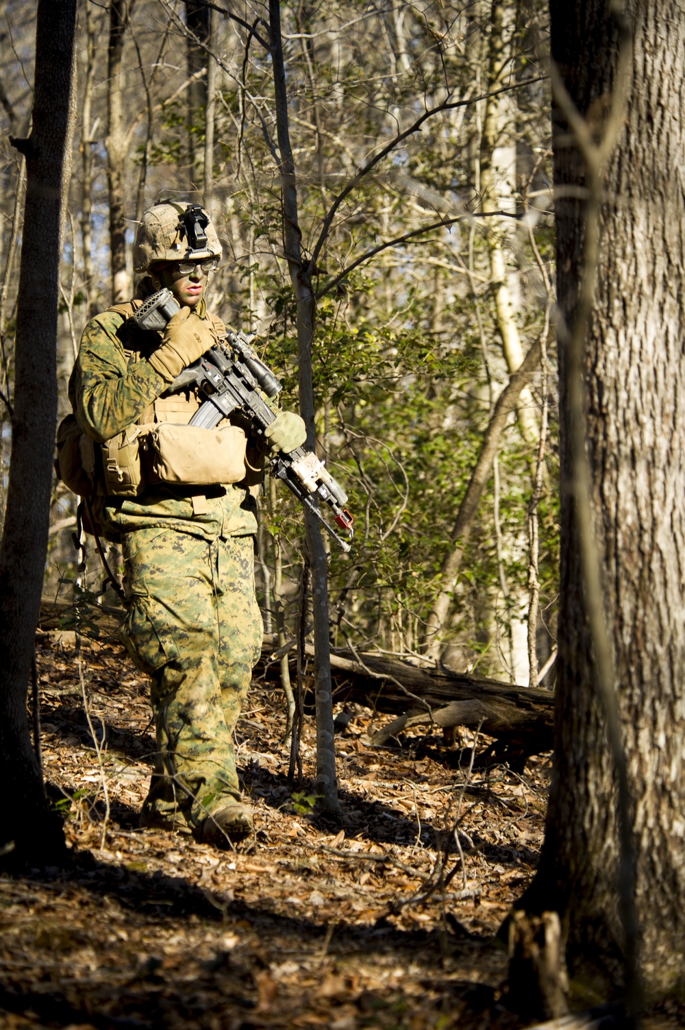 DVIDS - Images - Bravo Company, TBS patrol to ambush [Image 7 of 16]