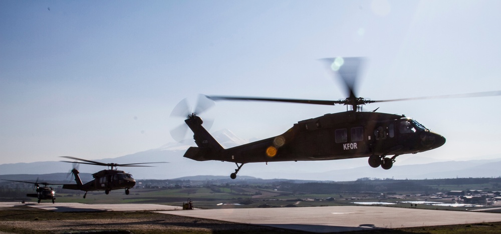 Multinational soldiers conduct aerial rapid response training