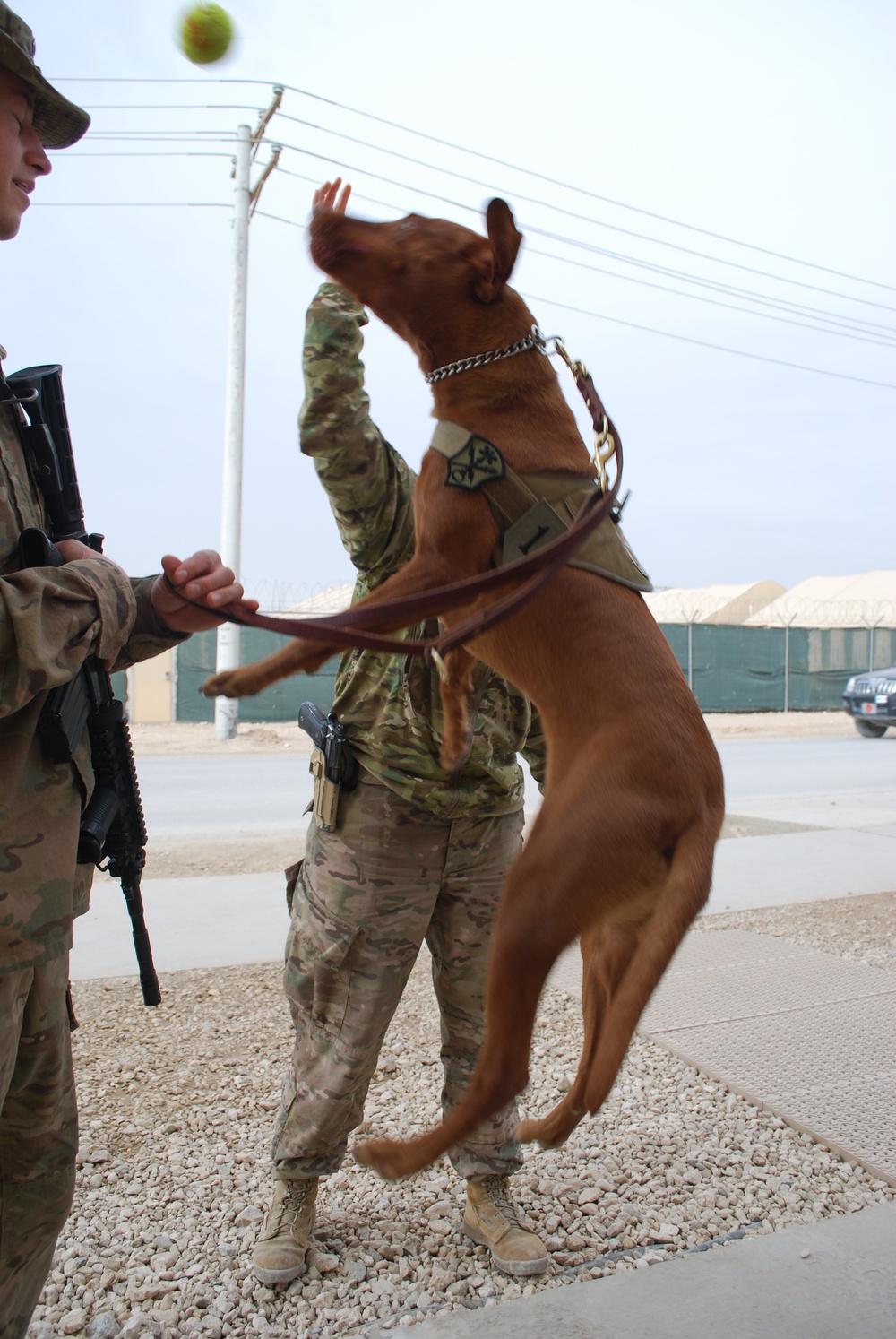 Maj. Eden leaps for his tennis ball