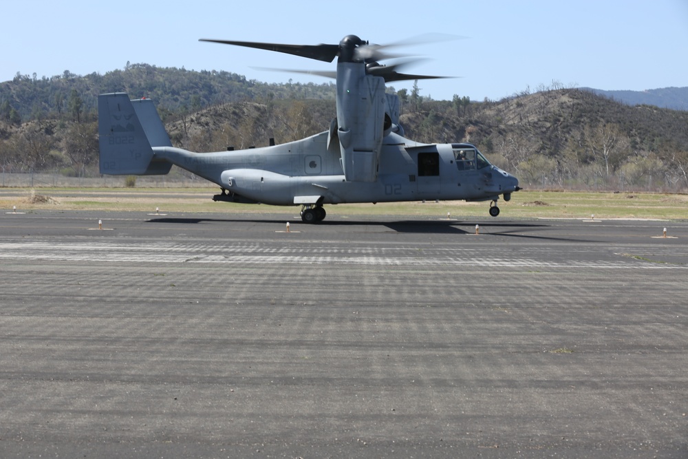 11th MEU dives head-first into first large-scale integration exercise