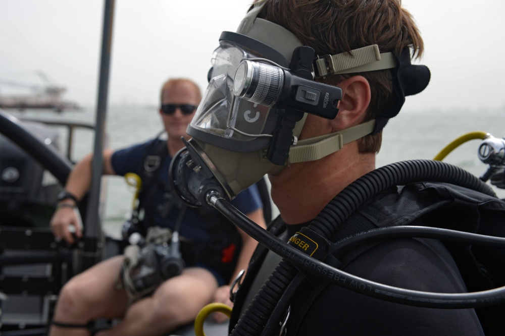 ATFP dives