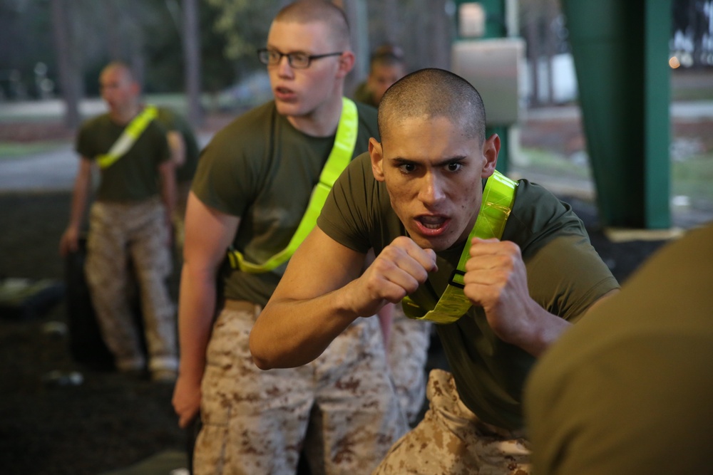 Photo Gallery: Marine recruits connect with warrior ethos on Parris Island