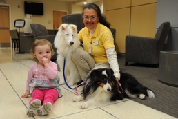 Therapy dogs visit USAF Hospital Langley