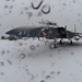 48th AEG defenders, jets brave the cold