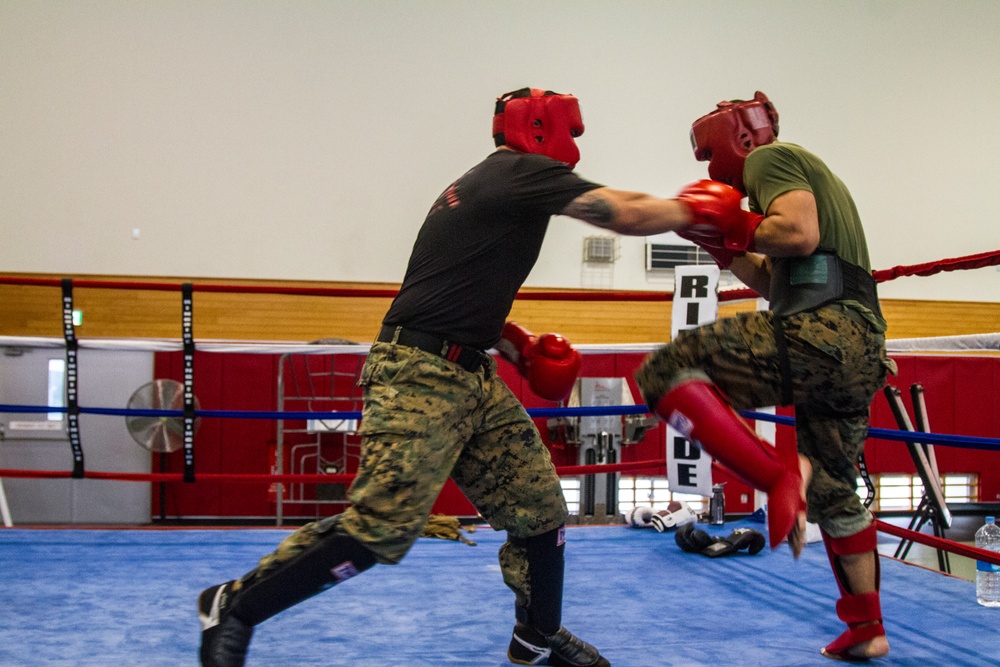 Marines spar, wrestle to earn instructor designation