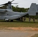 Recon Marines fast-rope from Ospreys