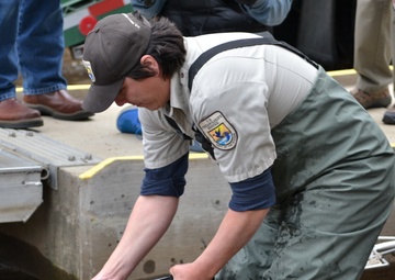 USACE partners give scary looking fish another chance
