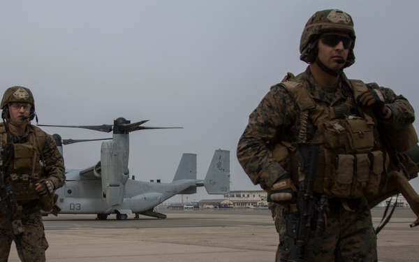 31st MEU utilizes Osprey’s capabilities during NEO exercise aboard MCAS Iwakuni