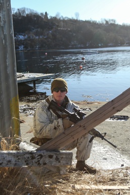 Amphibious Landing in the Arctic