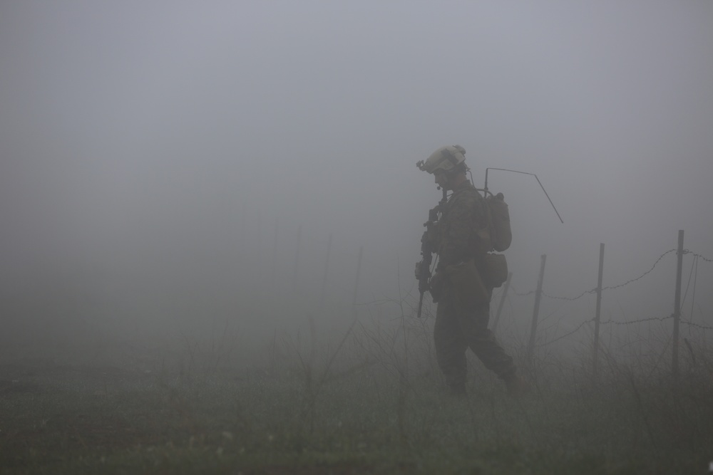 Marines from Company B, 1st Reconnaissance Battalion, conducted a complete combined-arms raid aboard Camp Pendleton Calif., March 6th