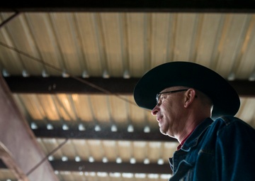 Veterans corral horses to take rein of own lives