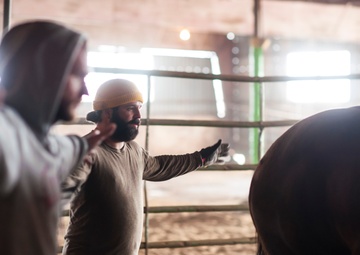 Veterans corral horses to take rein of own lives