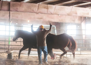 Veterans corral horses to take rein of own lives