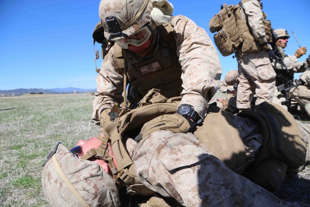 Fox Company BLT 2/1 maintains mission readiness