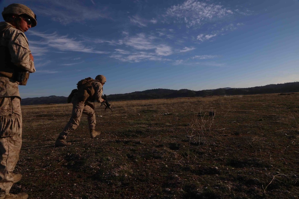 Fox Company BLT 2/1 maintains mission readiness