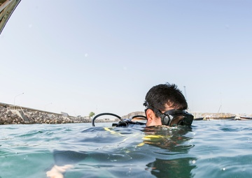 Antiterrorism/force protection