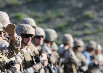 1st Intel Bn receives annual training