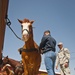 1st Cavalry Division horse gets saddled