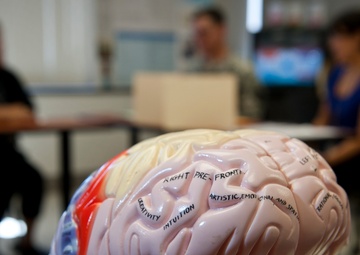 TBI care offered at Tripler Army Medical Center