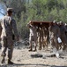 11th MEU Marines blaze a trail with volunteer efforts
