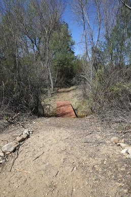 11th MEU Marines blaze a trail with volunteer efforts