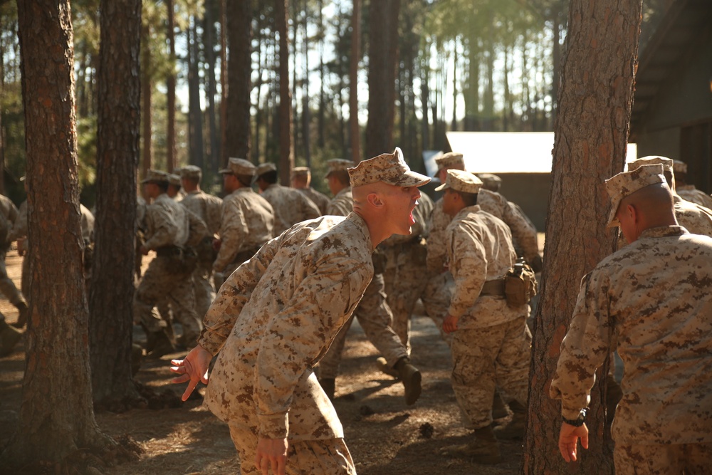 Photo Gallery: Recruits learn basic field and combat skills on Parris Island