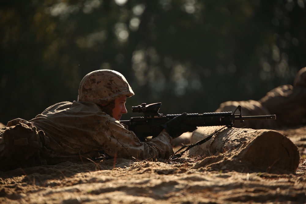 Photo Gallery: Recruits learn basic field and combat skills on Parris Island