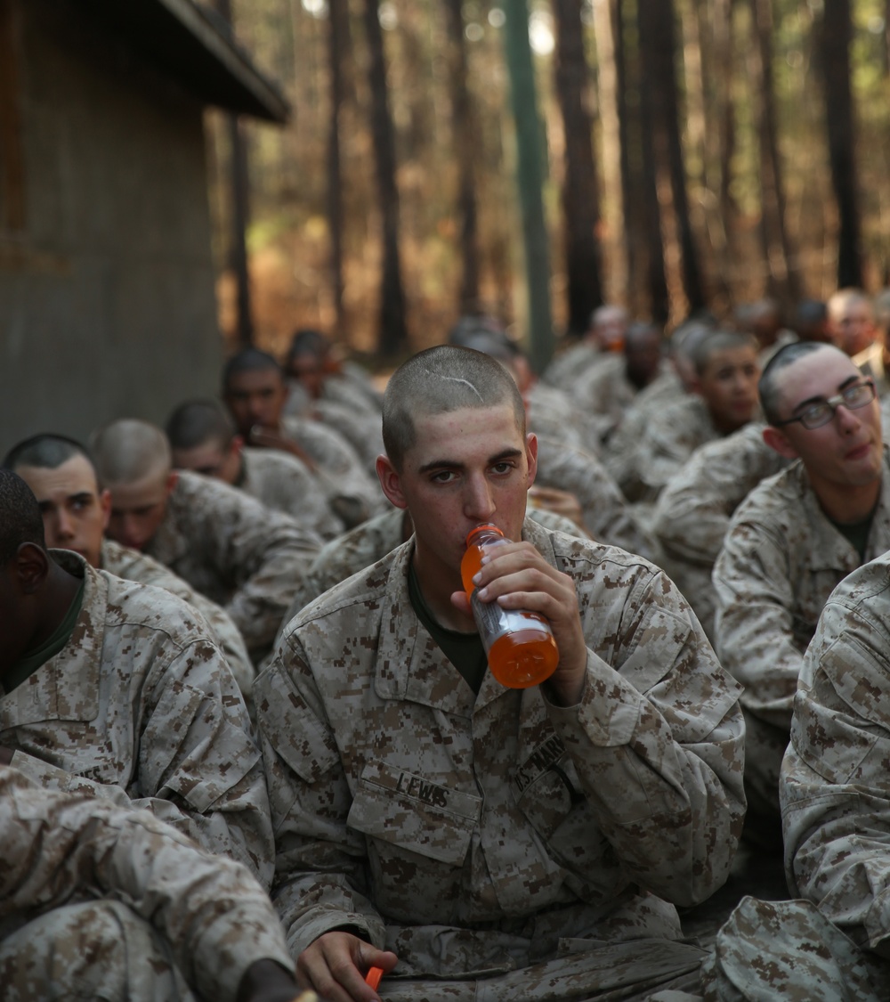 Photo Gallery: Recruits learn basic field and combat skills on Parris Island