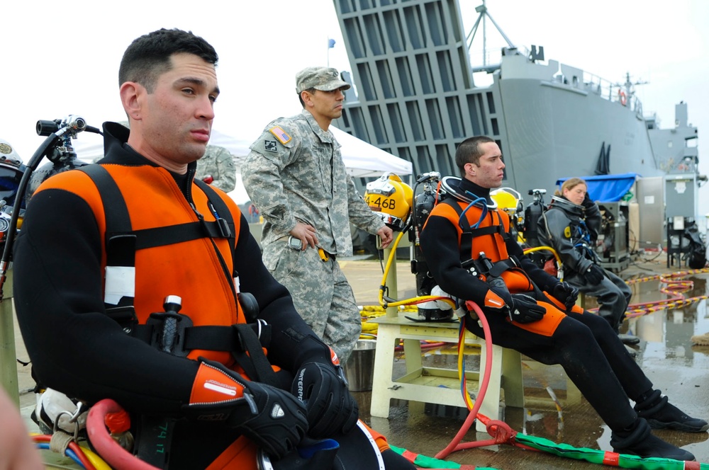 Guppies to great whites: Becoming an Army diver