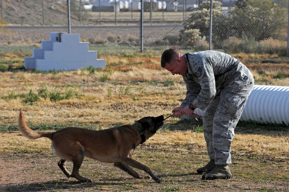 Processing four-legged deployers