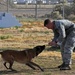 Processing four-legged deployers