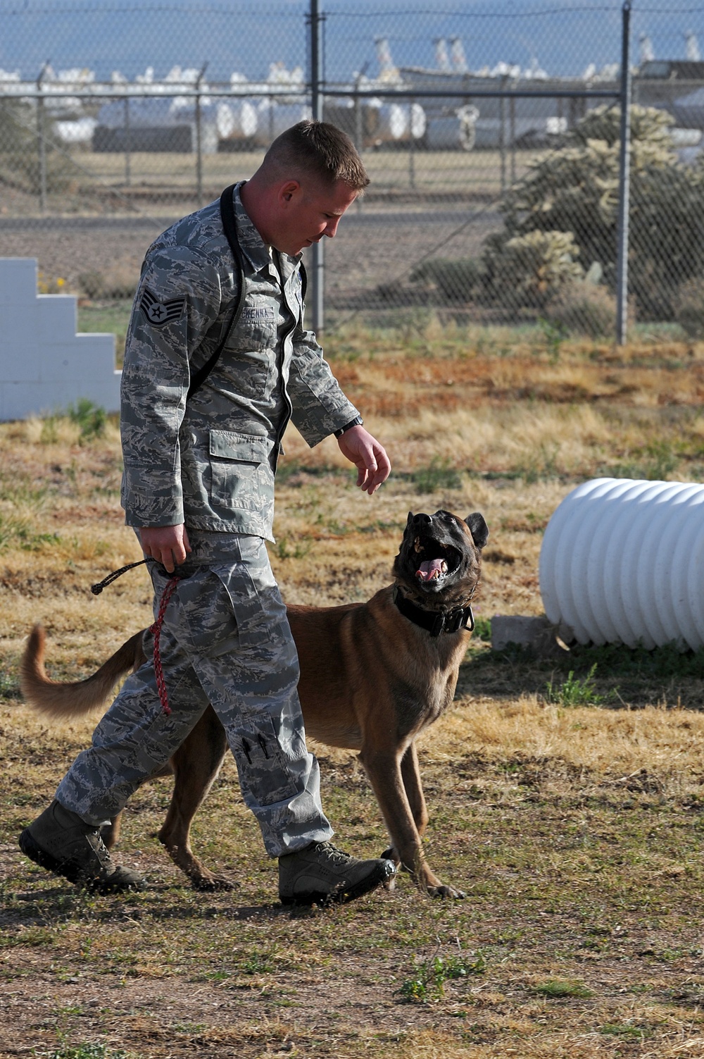 Processing four-legged deployers