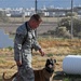 Processing four-legged deployers