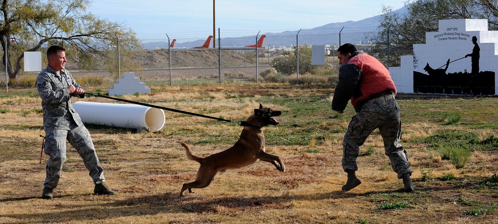 Processing four-legged deployers