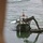 Bridging the gap: 7th ESB Marines train in the Colorado River