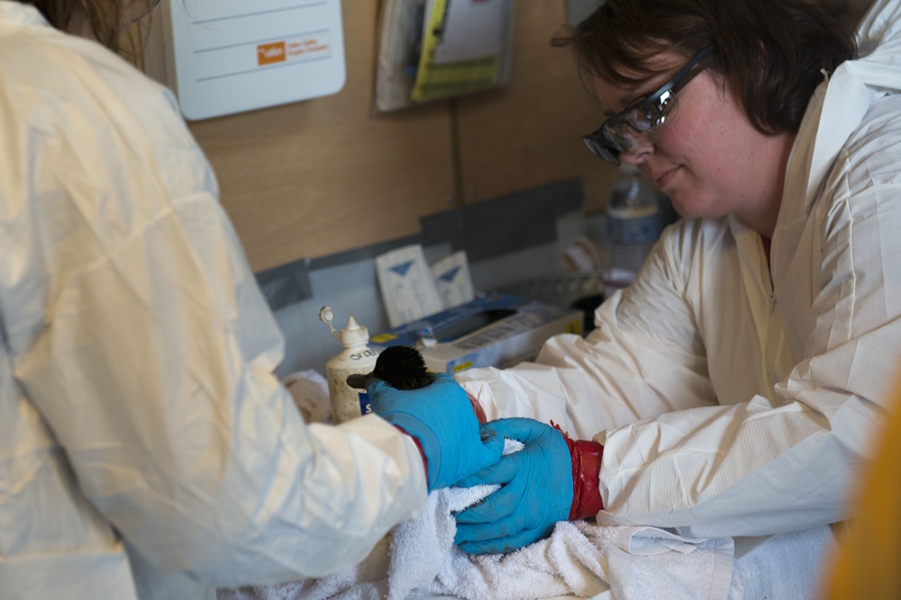 Texas City 'Y' incident response