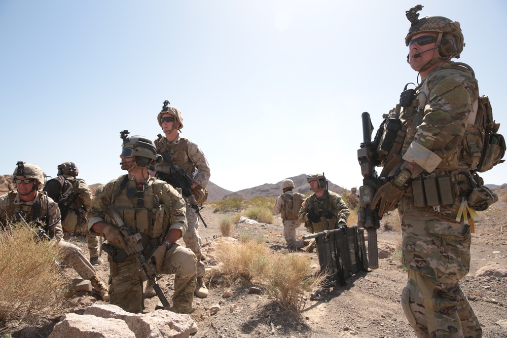 Marines, Army Special Forces execute TRAP exercise