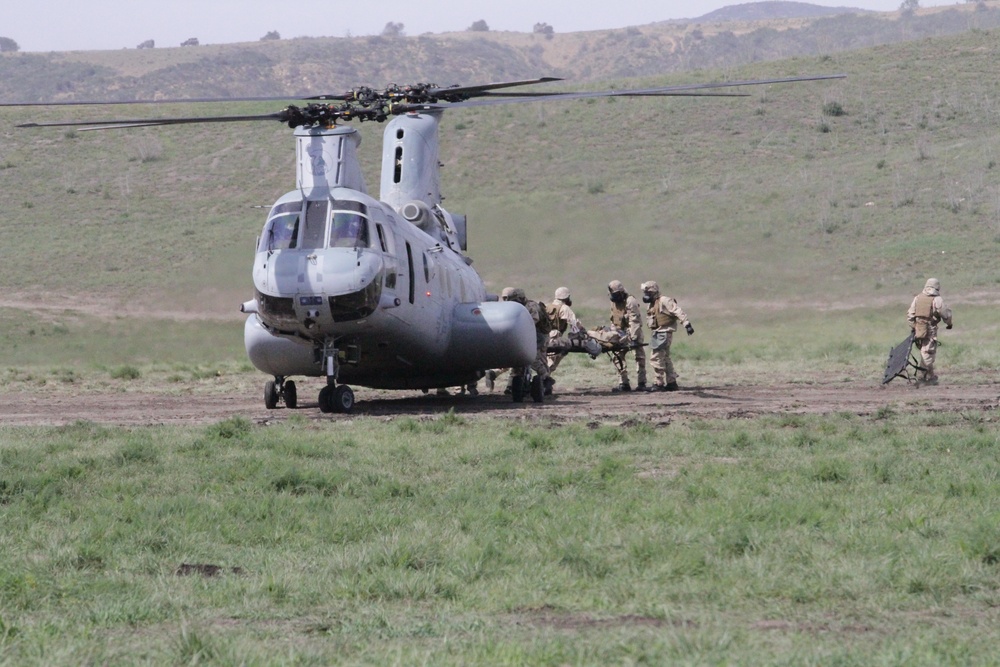 Marines Conduct Marine Corps Combat Readiness Evaluation