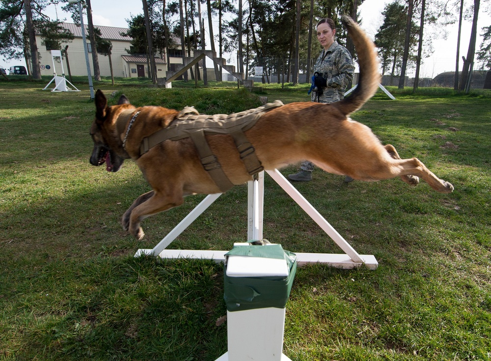 Military working dog obedience course