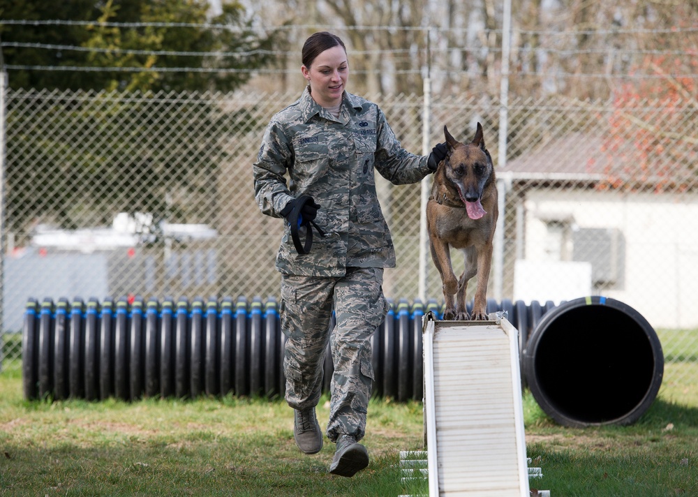 Military working dog obedience course