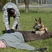 Military working dog training