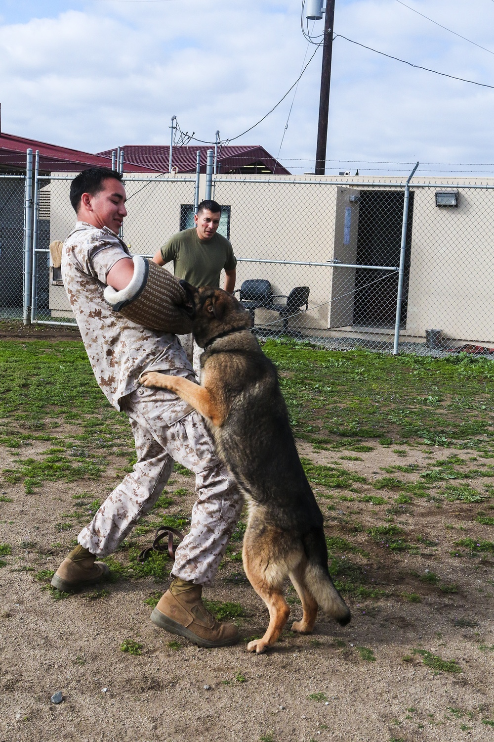 Marine Finds Strength in Furry Companion
